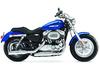 Harley-Davidson (R) Sportster(MD) 1200 Custom 2015